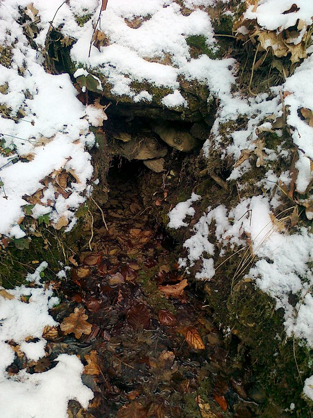 studánka Nad pomníčkem (6475) - únor 2013