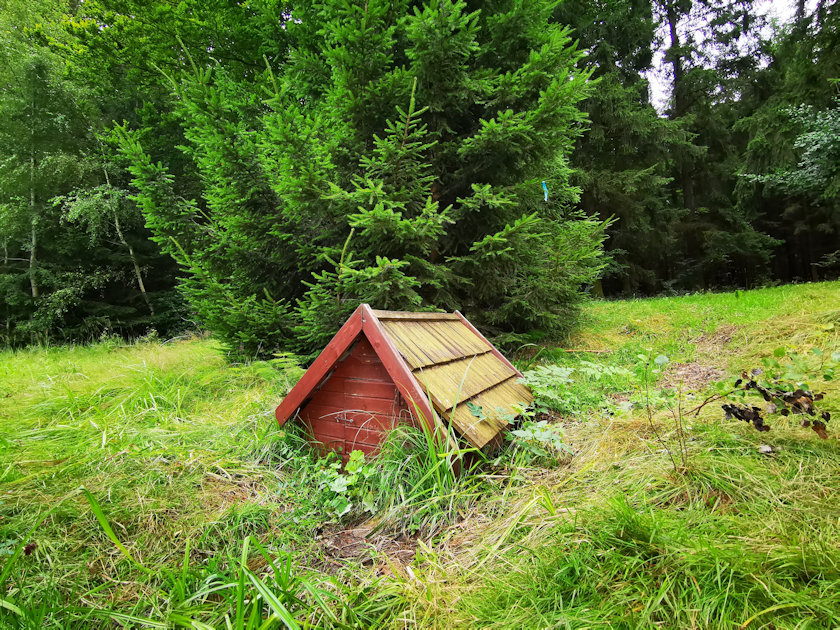 studánka bez jména (6484) - srpen 2021