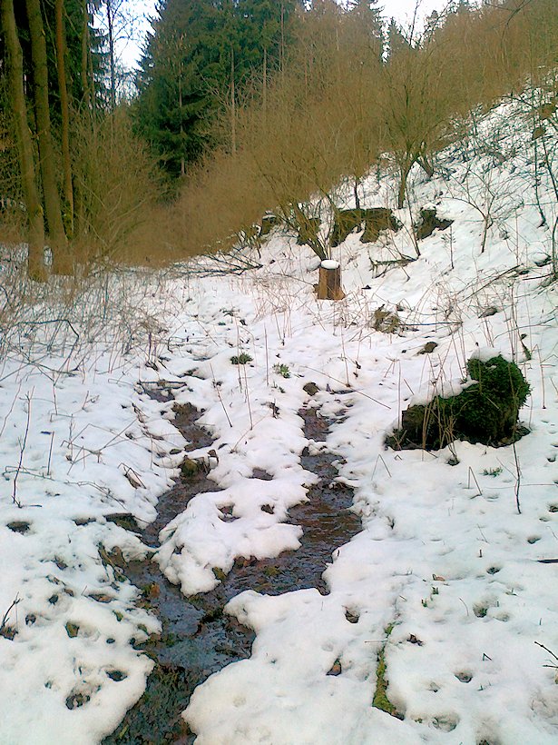 pramen Nad včelínem (6513) - únor 2013