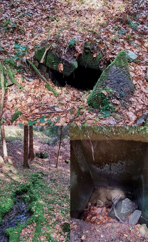 studánka Pod Klučandou (6524) - květen 2023