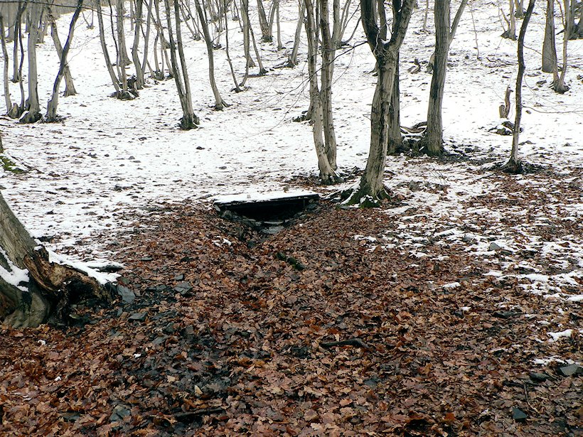 studánka bez jména (6534) - březen 2013
