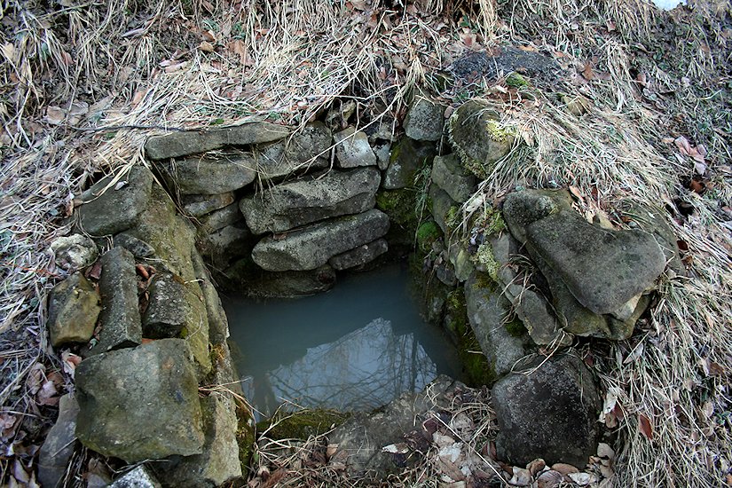 studánka bez jména (6546) - březen 2013