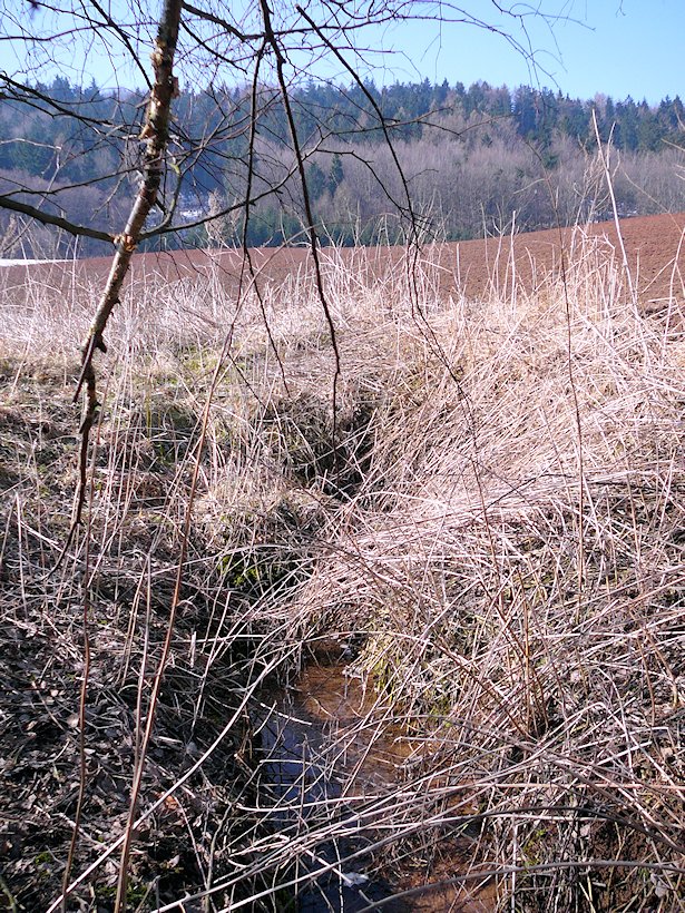 Pramen Dobroučky (6554) - březen 2013