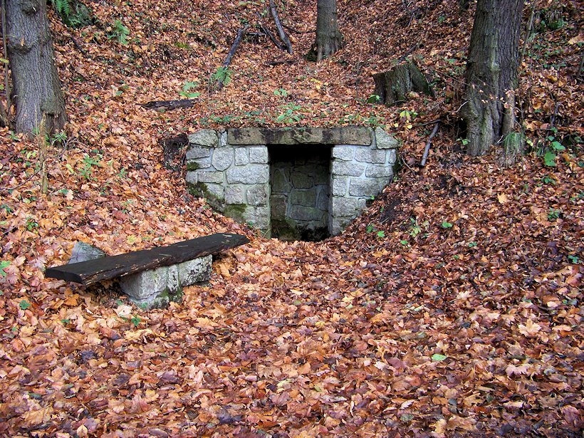 studánka U Hamrštejnu (6560) - březen 2013