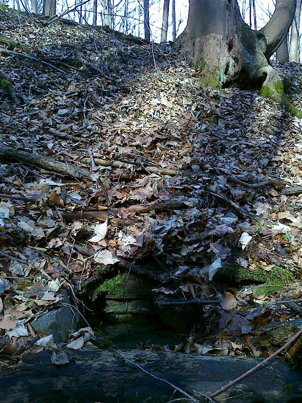studánka Nad rybníčky (6568) - březen 2013