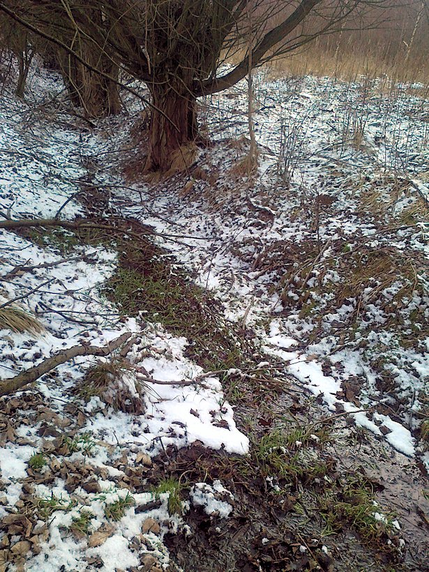 pramen Nad cihelnou (6579) - březen 2013