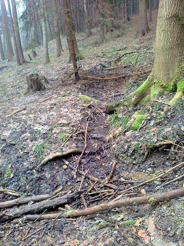 pramen Nad Beranovými doly II (6584) - březen 2013
