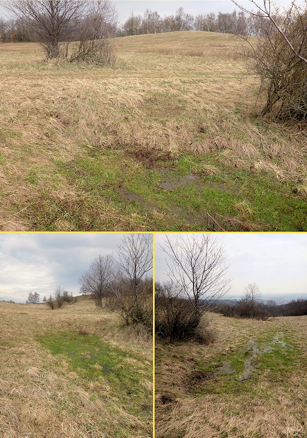 prameniště Pod Krásnou Lípou 1 (6647) - duben 2013