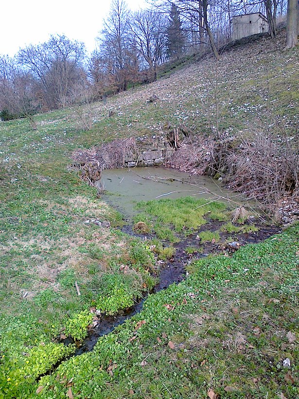 pramen Nad hasičárnou (6672) - duben 2013