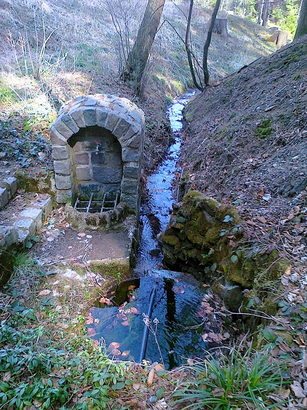 studánka Vanclička (6677) - duben 2013
