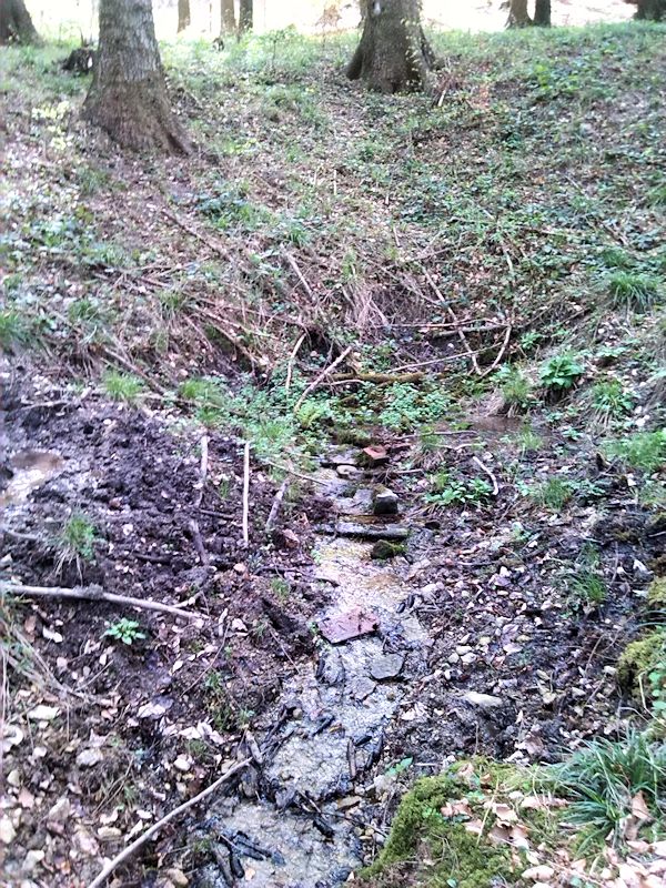 studánka Na Presích (6678) - duben 2013
