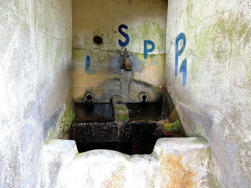 studánka bez jména (6687) - duben 2013