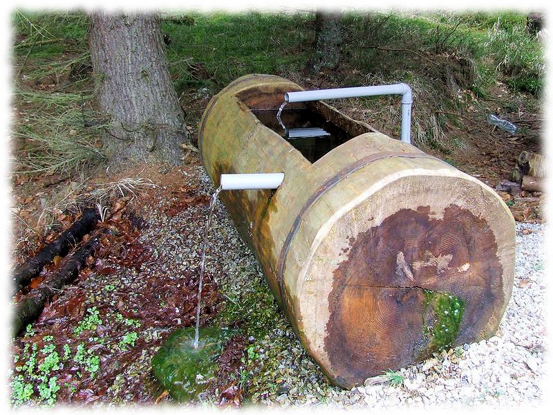 studánka bez jména (6709) - duben 2013