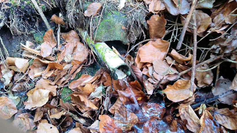 Divíškova studánka (6716) - duben 2020