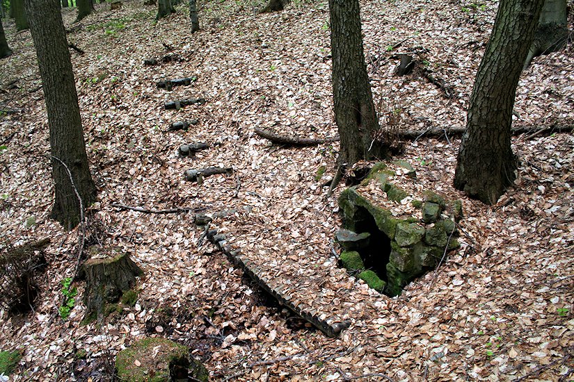 studánka Malenovská (6729) - květen 2013