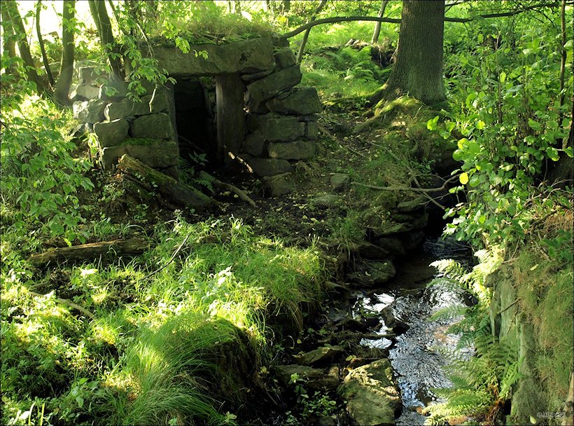 Severní studánka (6769) - květen 2013