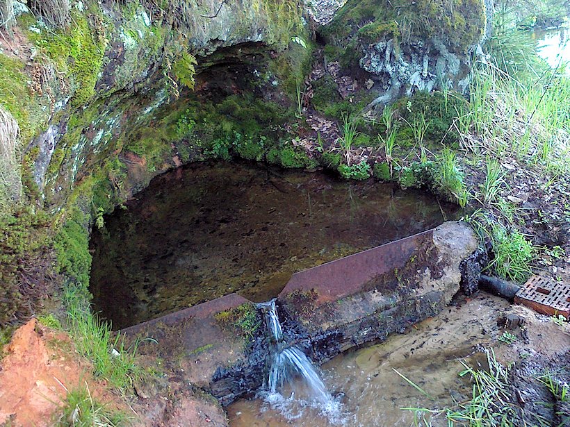 studánka bez jména (6770) - květen 2013