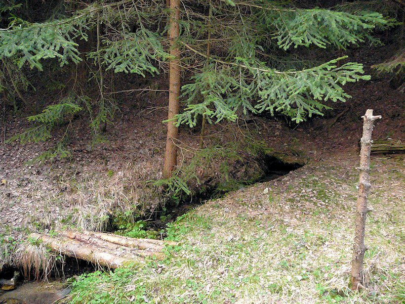 studánka  V Kroužku (6781) - květen 2013
