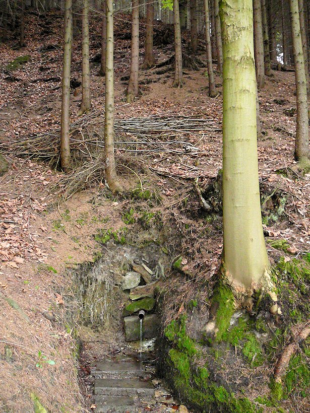 studánka V Bezpráví (6788) - květen 2013