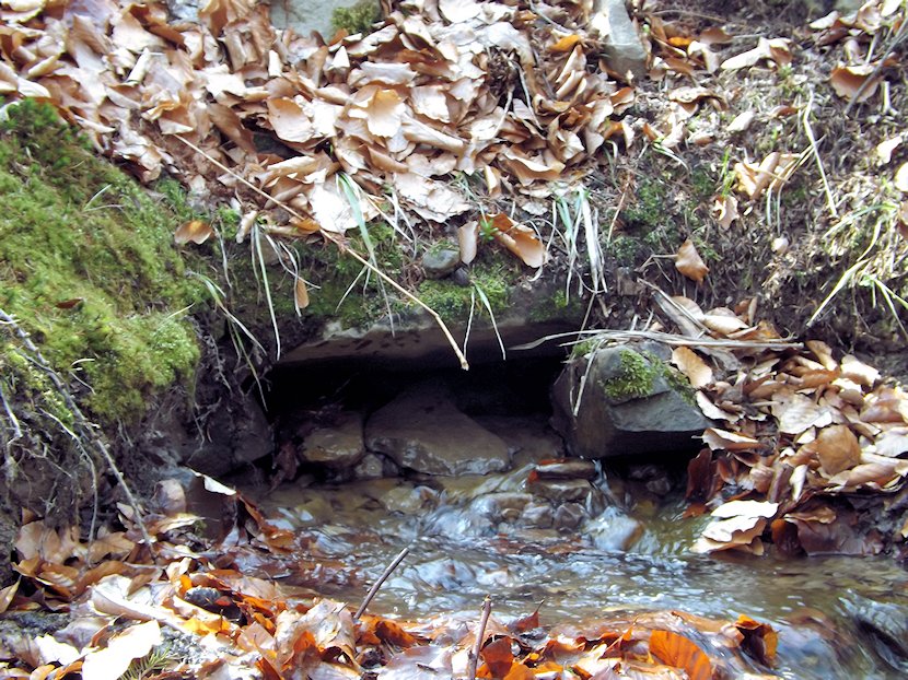 studánka V hraběcím (6798) - květen 2013
