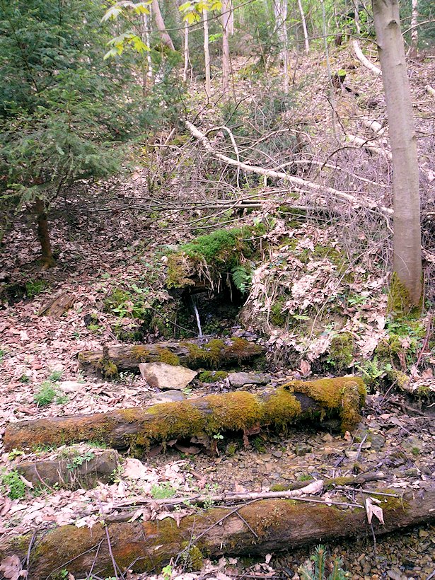 studánka V Luhu (6802) - květen 2013