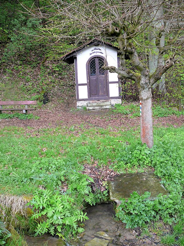 studánka U Mariánské kapličky (6803) - květen 2013