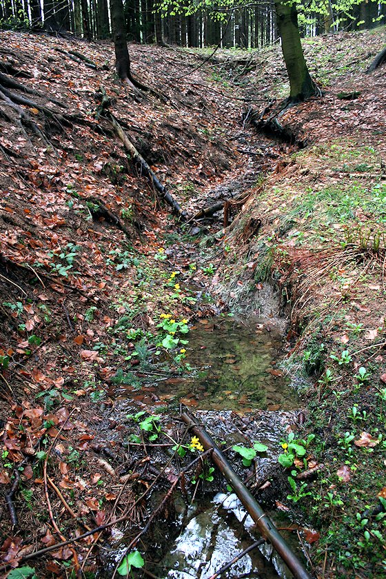 pramen Pod Súľovem (6810) - květen 2013
