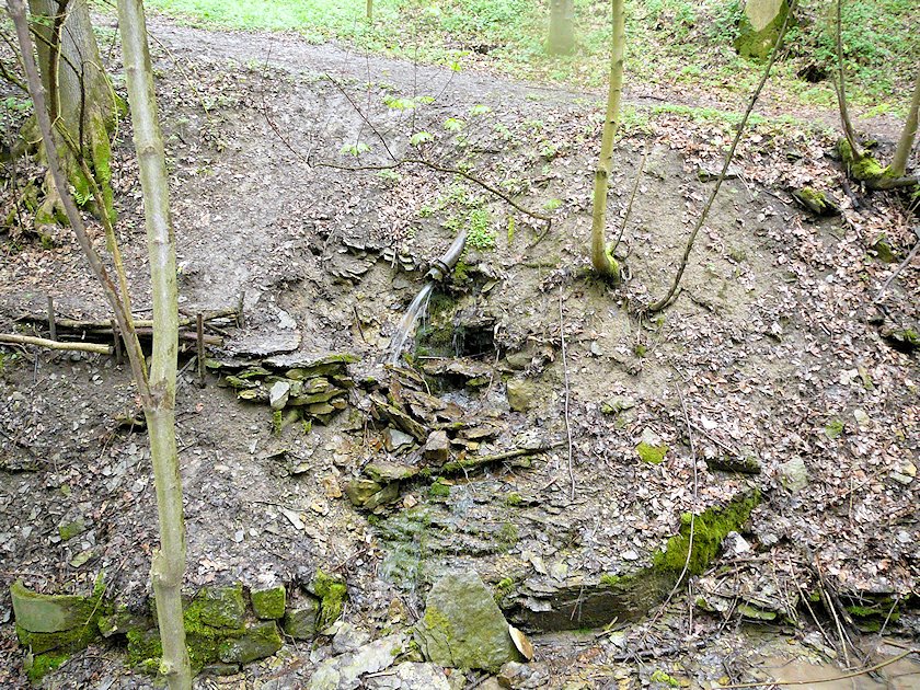 studánka U Komenského pomníku (6811) - květen 2013