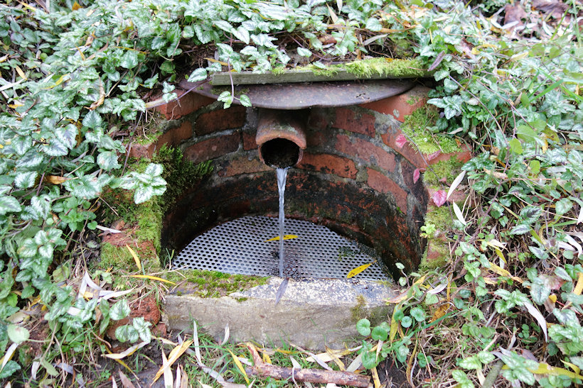 studánka U stožáru (6816) - listopad 2019