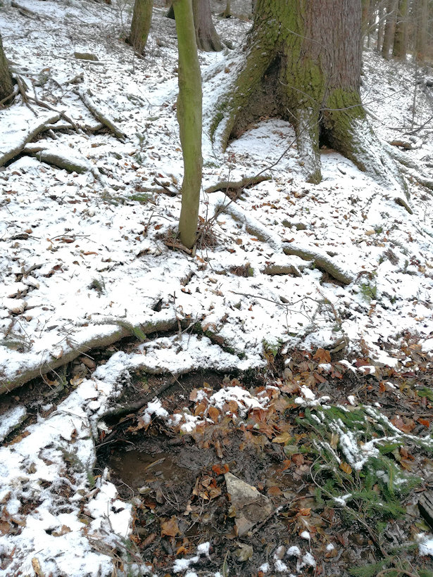 studánka Pod Hůrkou (6818) - datum neznámé