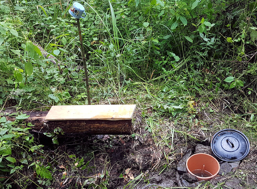 studánka bez jména (6819) - červenec 2022