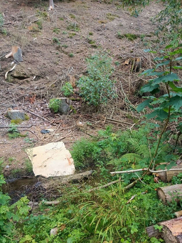 Studánka u Vilímů (6828) - datum neznámé