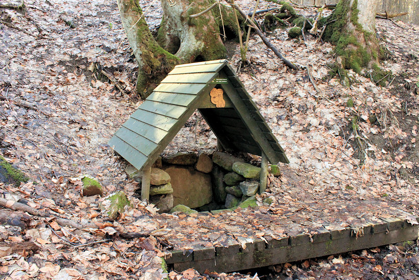 studánka V Psí kuchyni (6836) - březen 2019