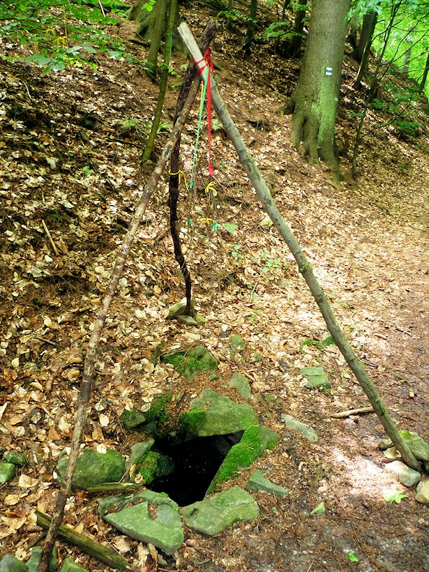 studánka Nad Peklem (6857) - květen 2013