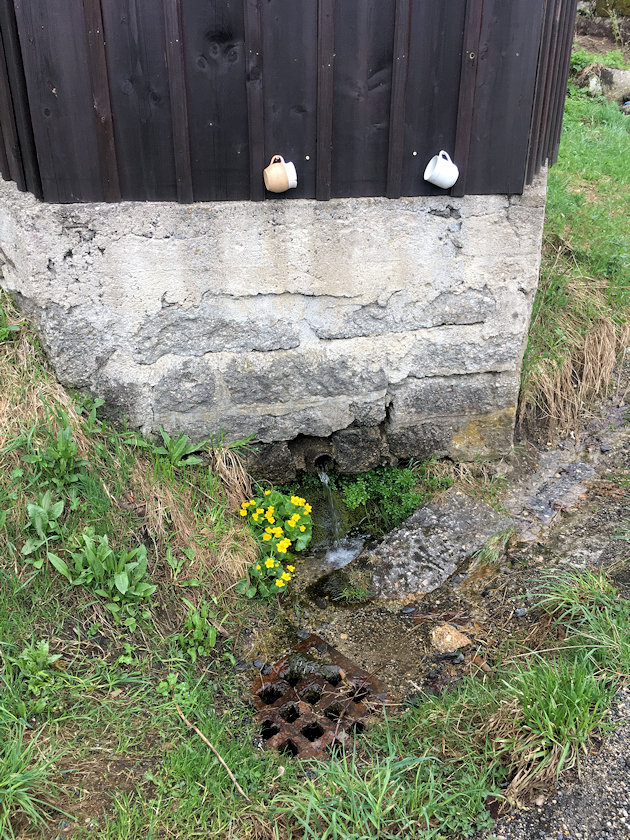 Karlovská studánka (6864) - květen 2021