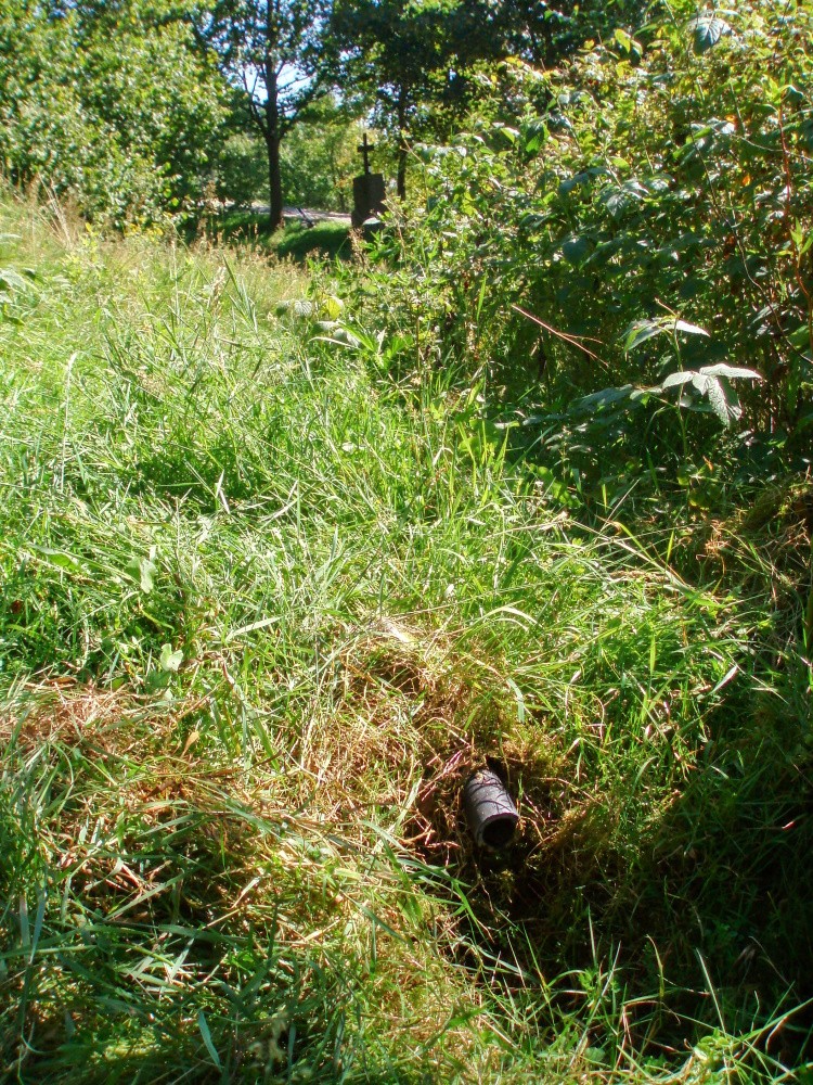 studánka bez jména (6865) - listopad -0001