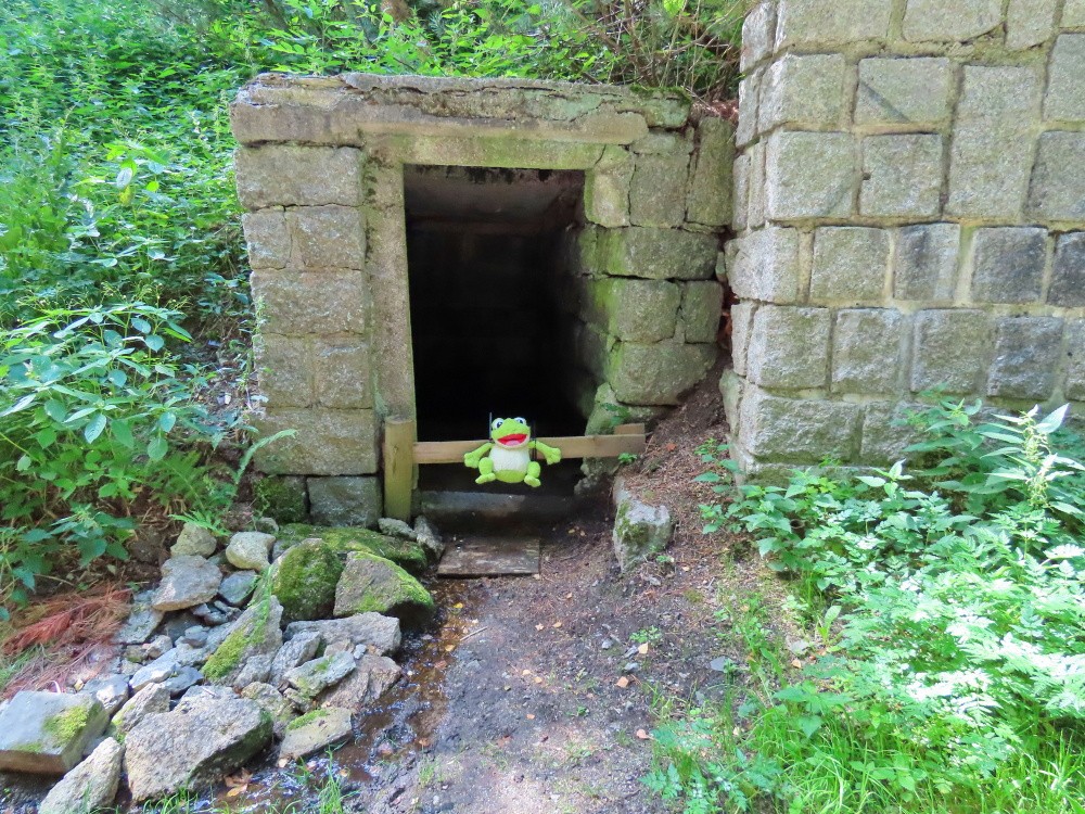 studánka bez jména (6867) - srpen 2025