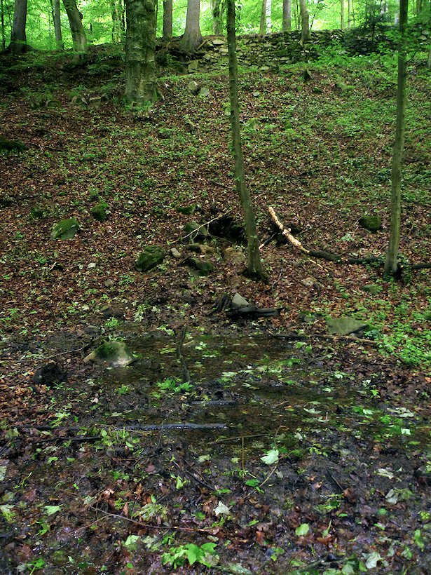 Pramen Slavice (6879) - květen 2013