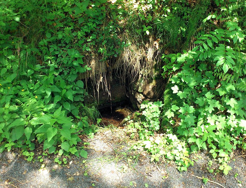 studánka bez jména (6891) - květen 2013