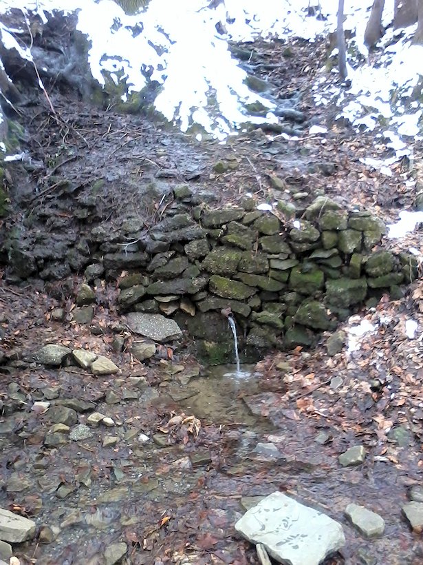 Pramen pod Ondrášem (6896) - červen 2013
