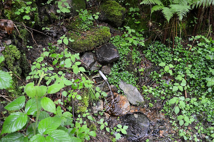 pramen Pramínek Plavy Průrubí (6900) - červen 2013