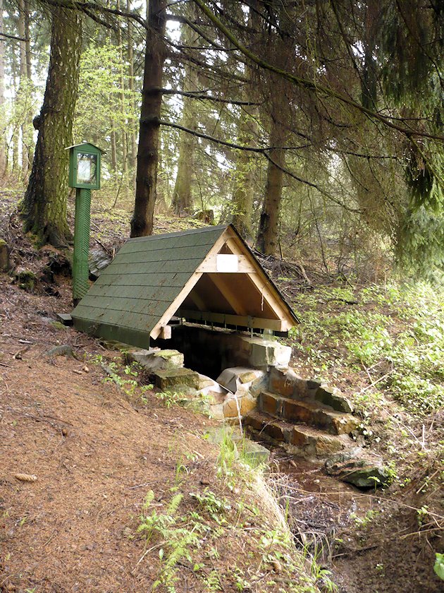studánka U Svěcené vody (6917) - červen 2013