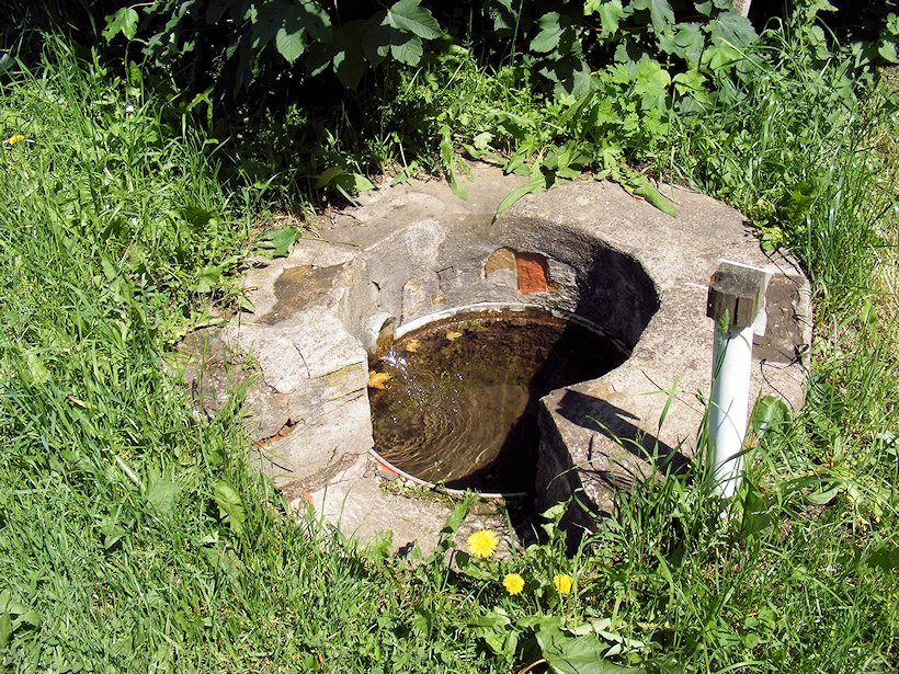 studánka bez jména (6938) - červen 2013