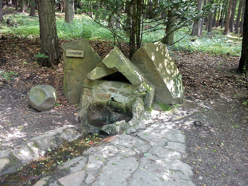 studánka Lesní vřídlo (6945) - květen 2011