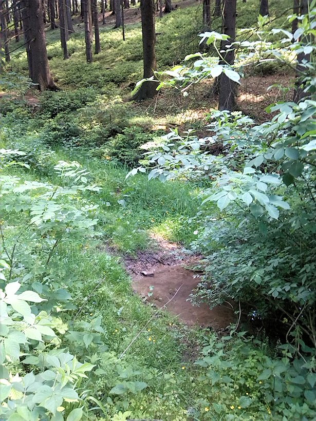 pramen U Mačáku (6990) - červen 2013