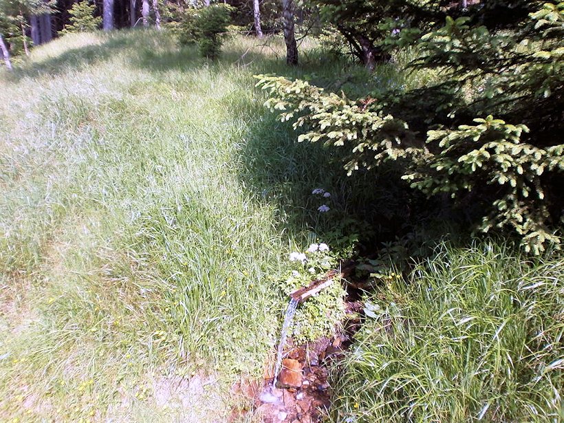 studánka Pod Křížovou horou (6993) - červen 2013