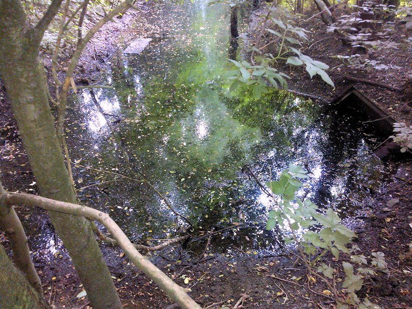 vyvěračka bez jména (6996) - červen 2013