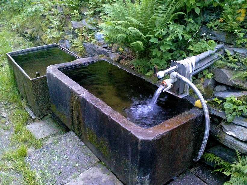 studánka U Koryta (6999) - červen 2013