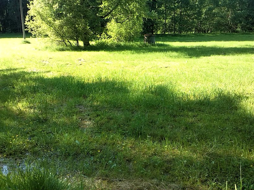 prameniště Květenský potok (7001) - červen 2013