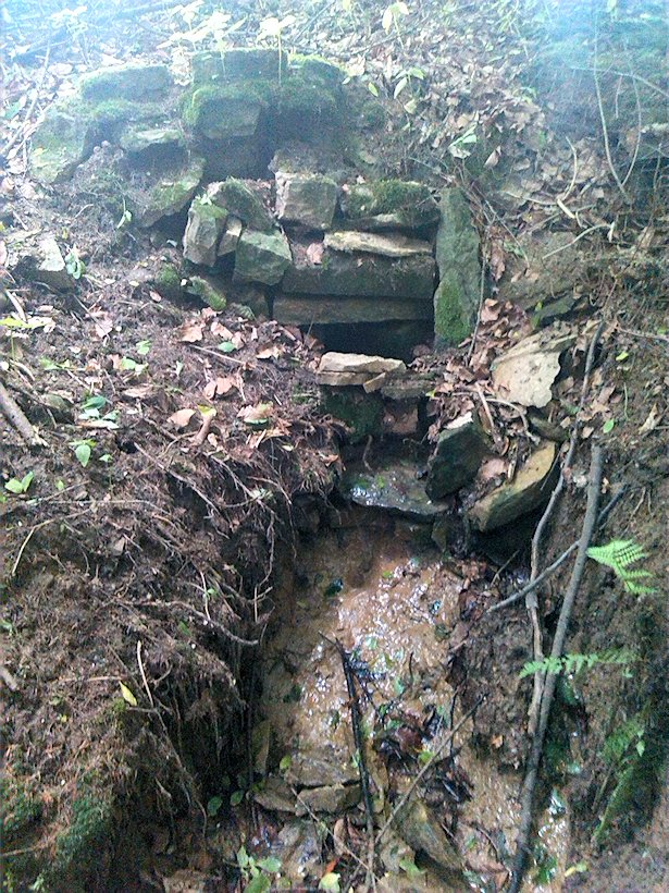 studánka Nad Čertovou lávkou (7004) - červen 2013